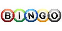 bingo Casino Game Provider