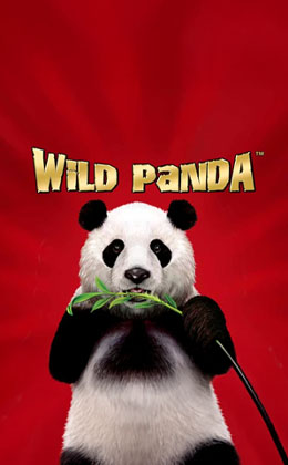 Play Wild Panda Casino Game