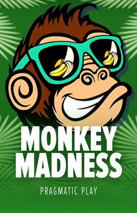 Play Monkey Madness Casino Game