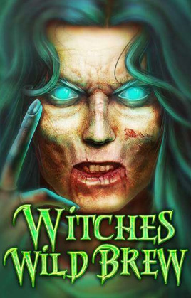 Play Witches Wild Brew Casino Game