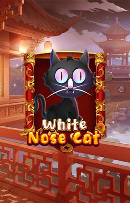 Play White Nose Cat Casino Game