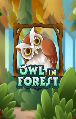 Play Owl In Forest Casino Game