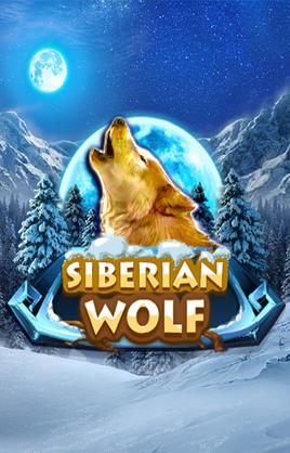 Play Siberian Wolf Casino Game