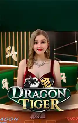 Play D Dragon Tiger Casino Game