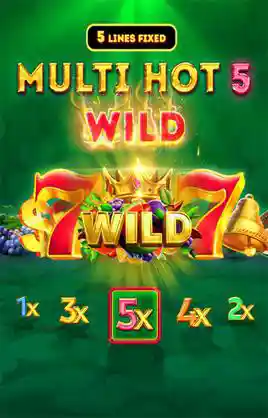 Play Multi Hot 5 Wild Casino Game