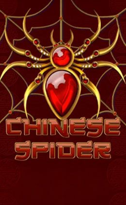 Chinese Spider