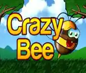 Play Crazy Bee Casino Game