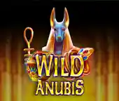 Play Wild Anubis Casino Game