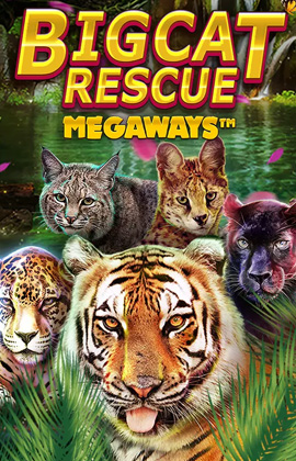 Play Big Cat Rescue Megaways Casino Game