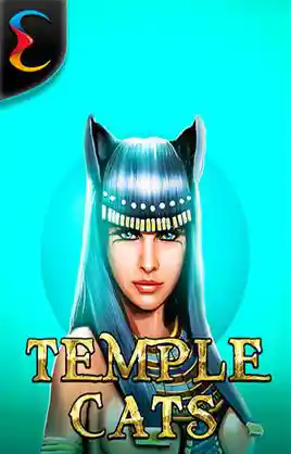Play Temple Cats Casino Game
