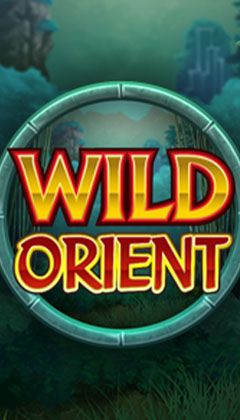 Play Wild Orient Casino Game