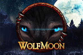 Play Wild Wild Joker Casino Game
