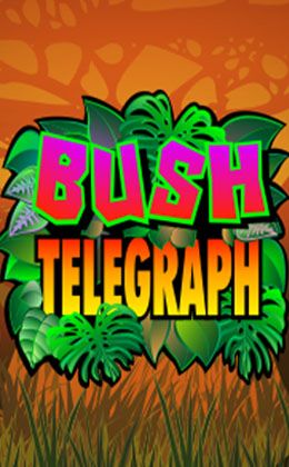 Play Bush Telegraph Casino Game