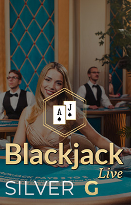 Play Blackjack Silver G Casino Game