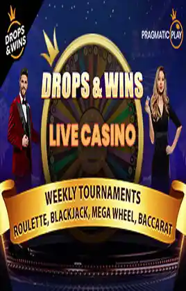 Play D And W Casino Game