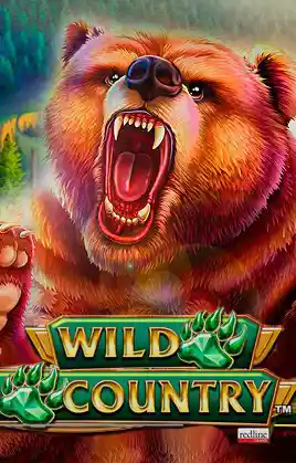 Play Wild Country Casino Game