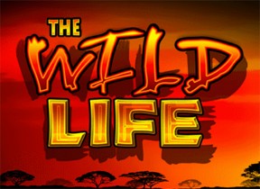 Play The Wild Life Casino Game