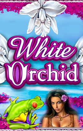 Play White Orchid Casino Game
