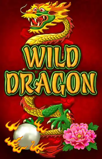 Play Wild Dragon Casino Game