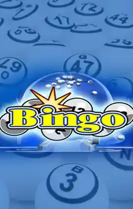 Play Bingo Casino Game