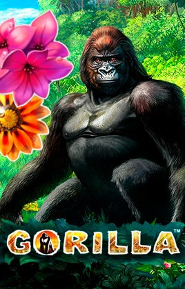 Play Gorilla Casino Game