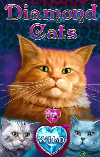 Play Diamond Cats Casino Game