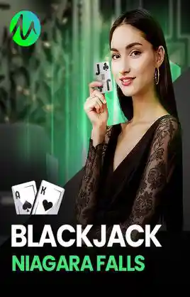Play Blackjack Niagara Falls Casino Game